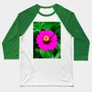 Blooming mature pink zinnia flower Baseball T-Shirt